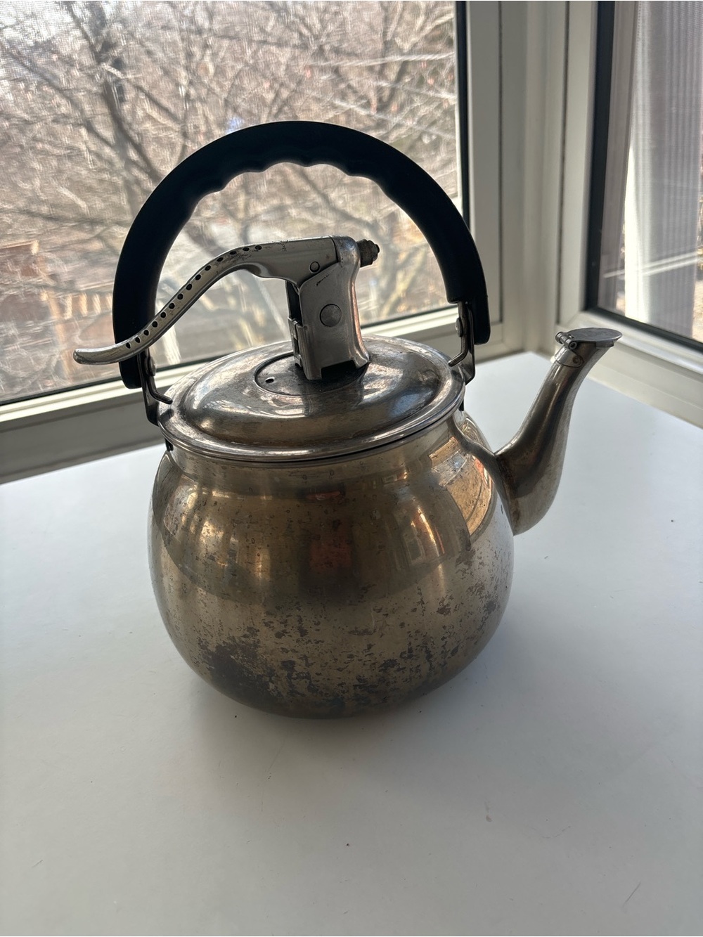 Classic Stainless Steel Stovetop Tea Kettle with Black Handle